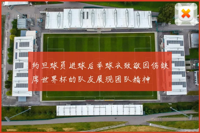 约旦球员进球后举球衣致敬因伤缺席世界杯的队友展现团队精神